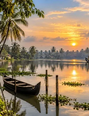 Kerala Monsoon Reflections